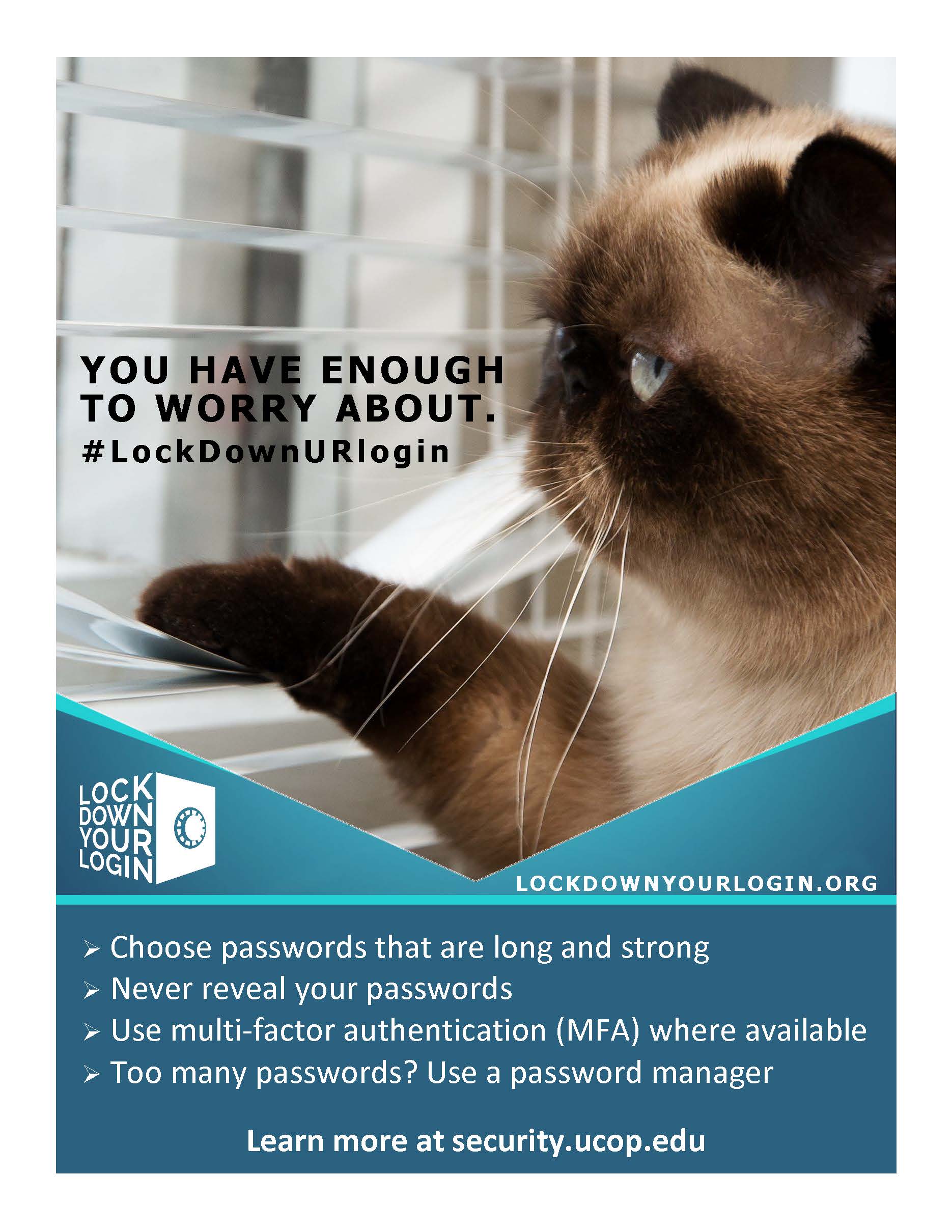 Poster thumbnail: Lock Down Your Login #1. Click for PDF.