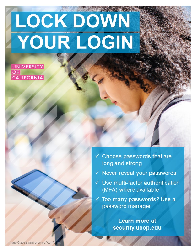 Poster thumbnail: Lock Down Your Login #2. Click for PDF.