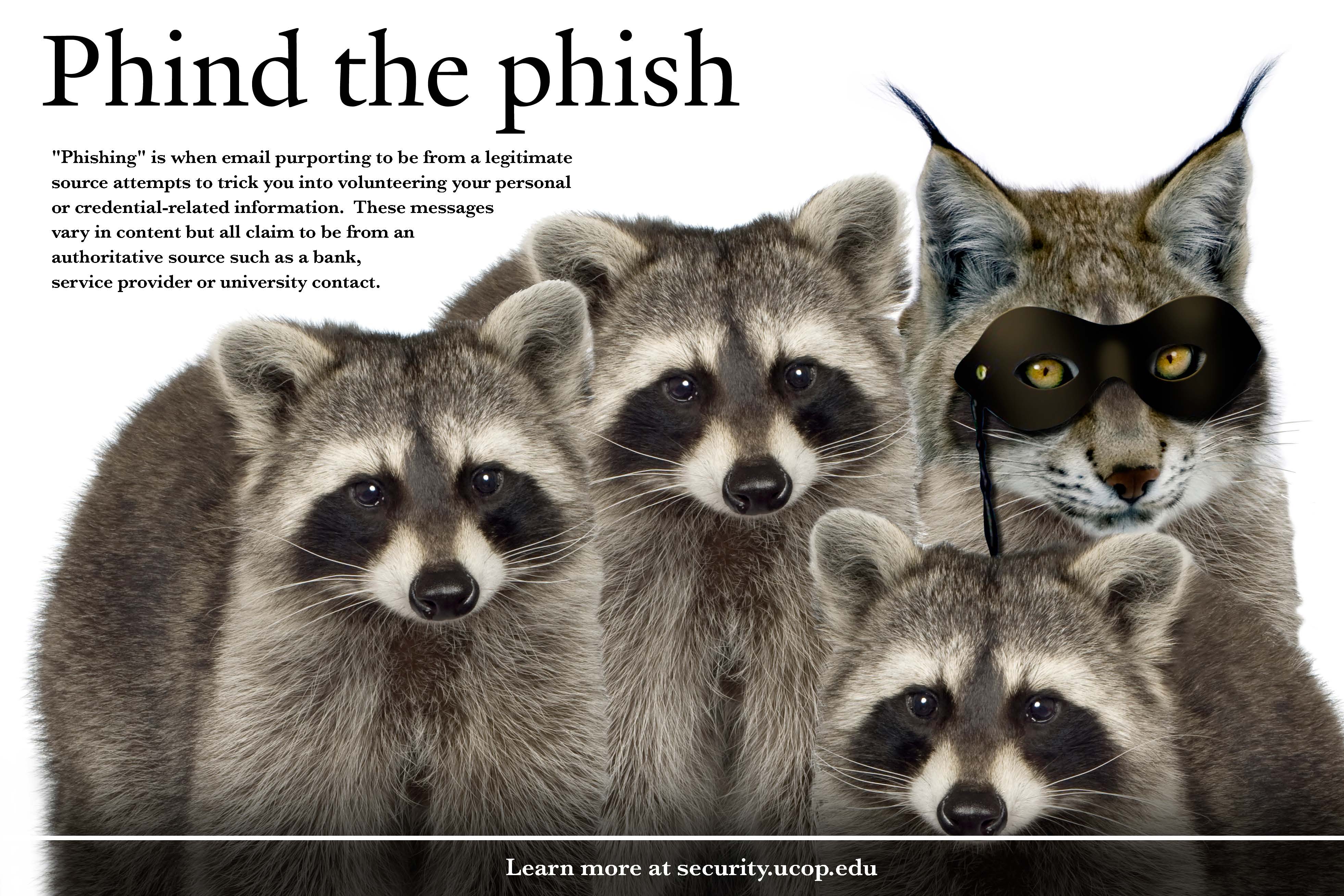 Flyer: Phind the phish. -  Racoon Bobcat
