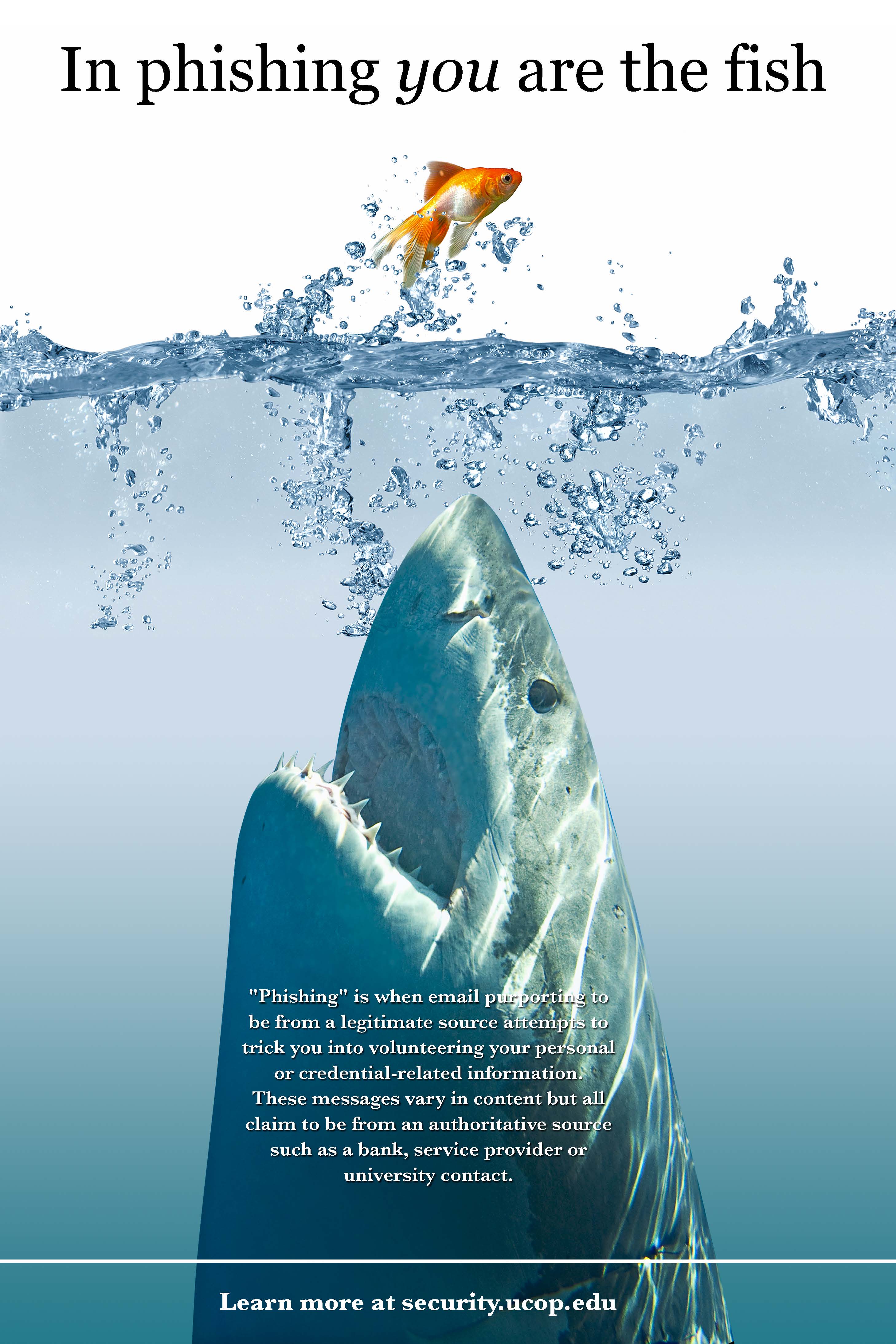 Flyer: Phind the phish. -  goldfish shark