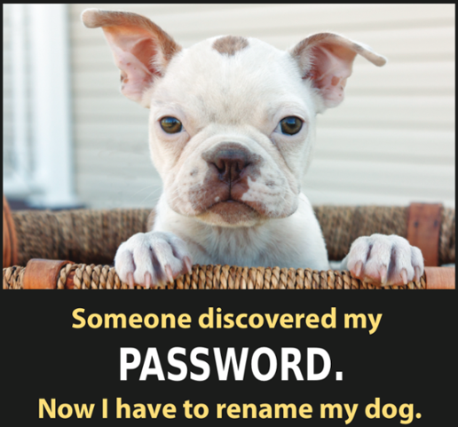 Picture of a puppy with caption, "Someone discovered my password. Now I have to rename my dog."